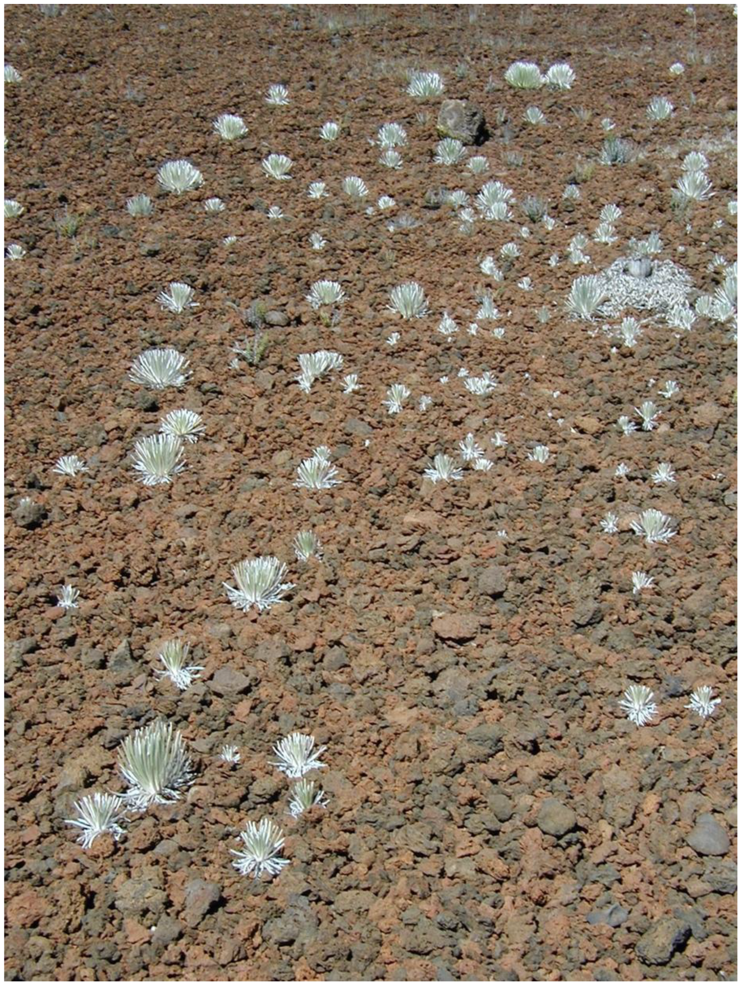 Geographies 05 00013 g015