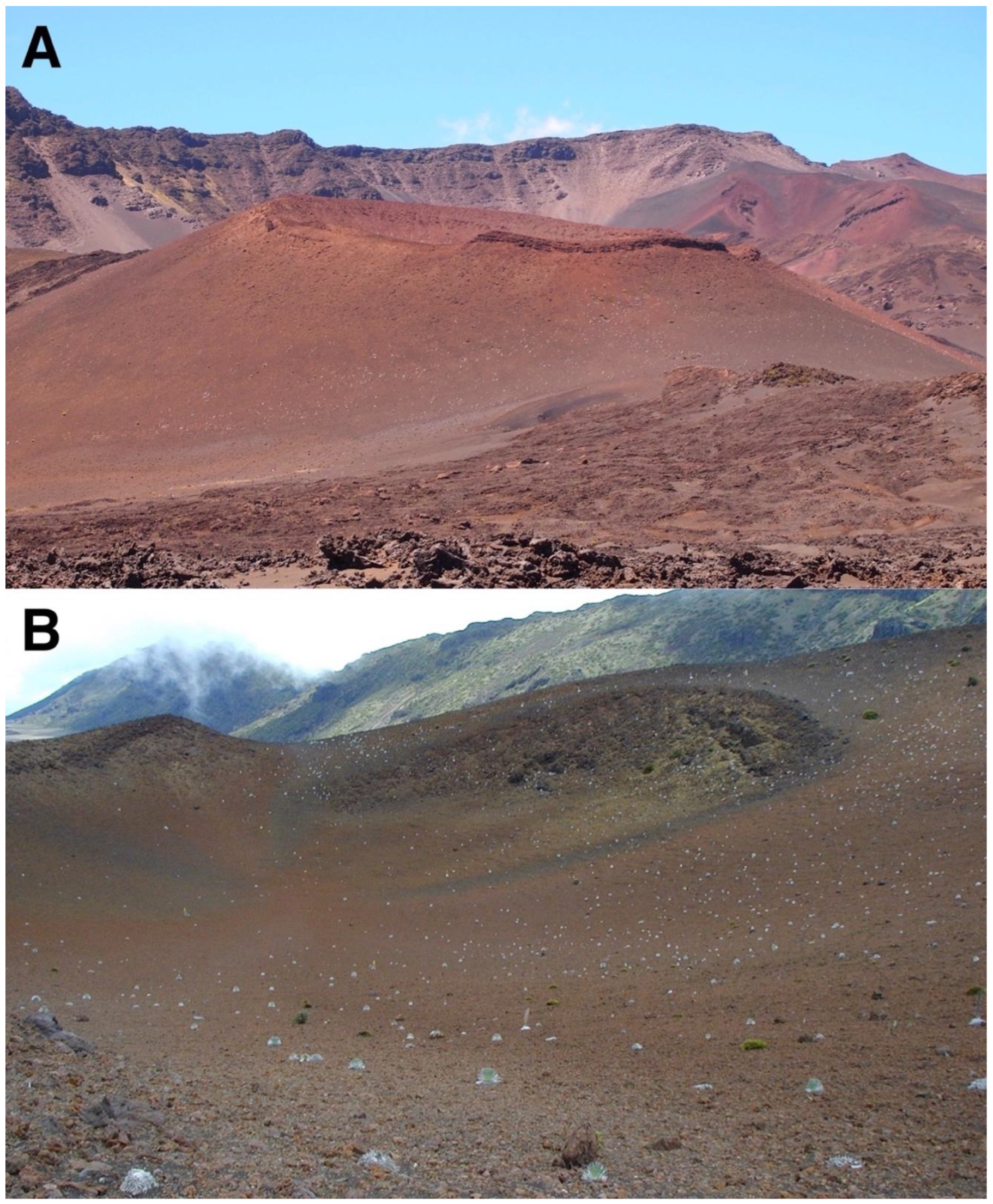 Geographies 05 00013 g016