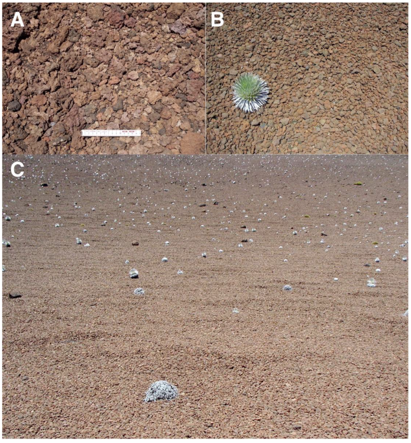 Geographies 05 00013 g017