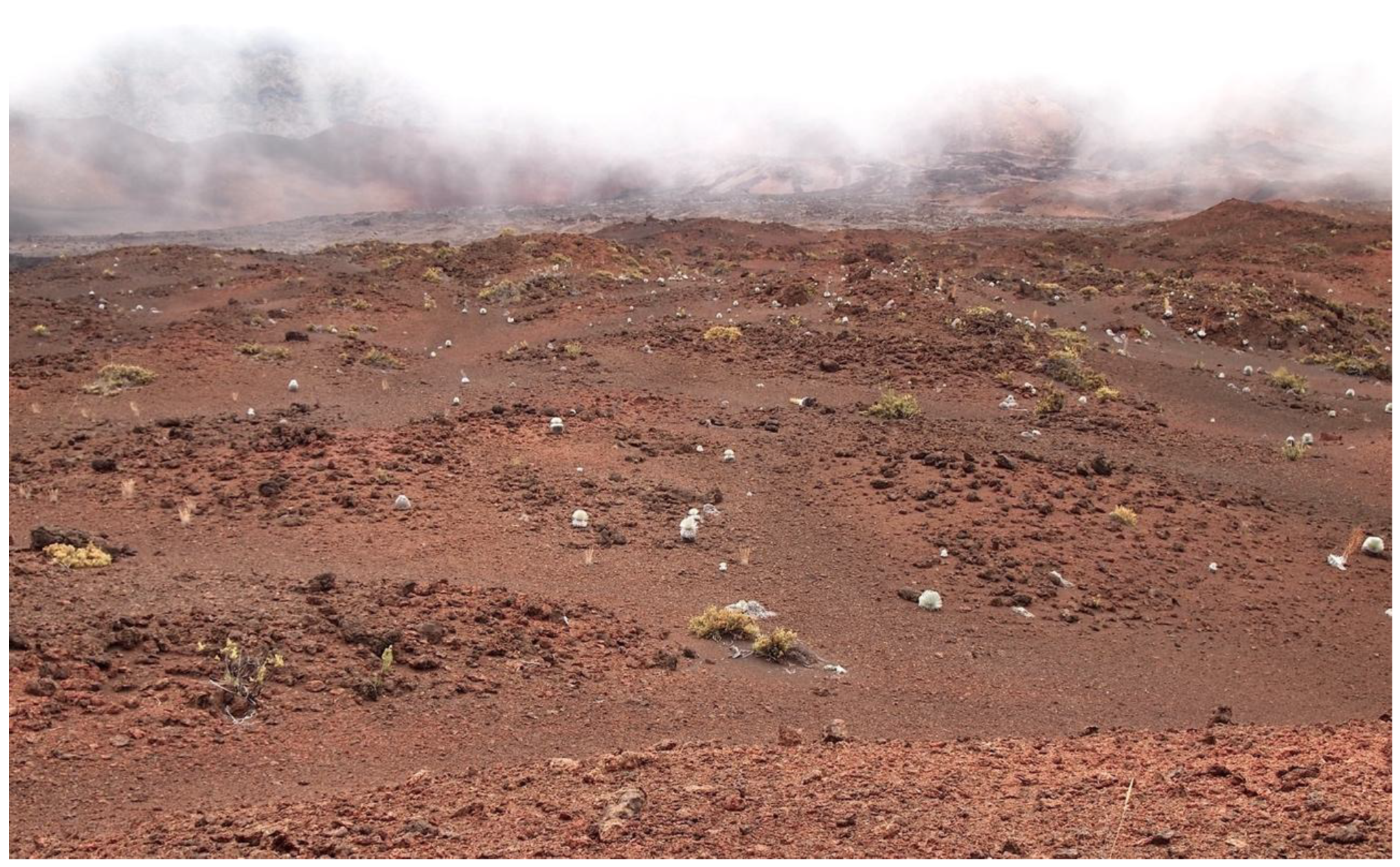 Geographies 05 00013 g018