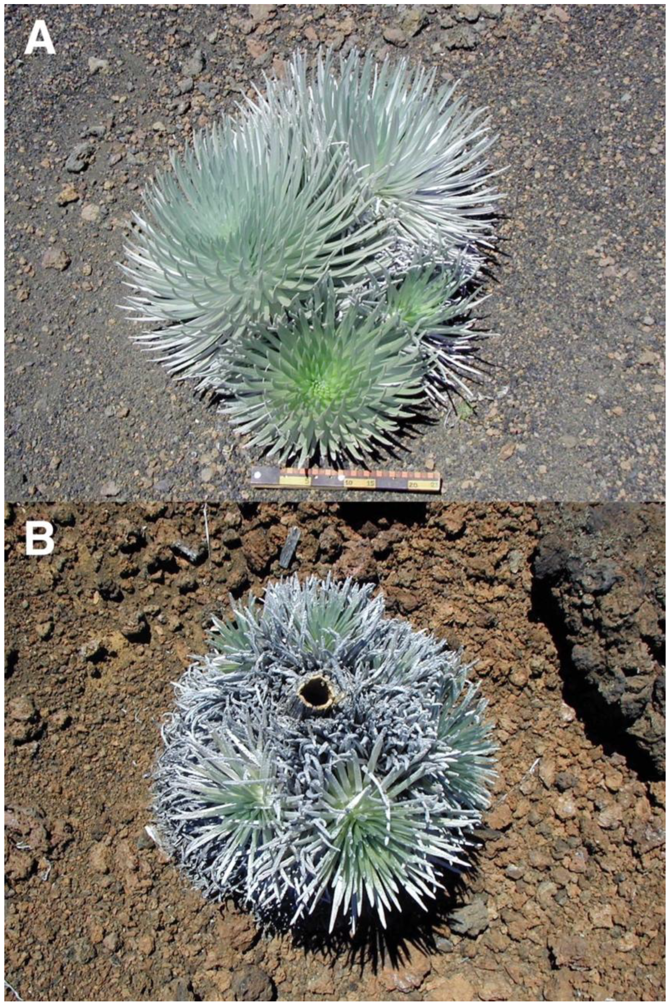 Geographies 05 00013 g020