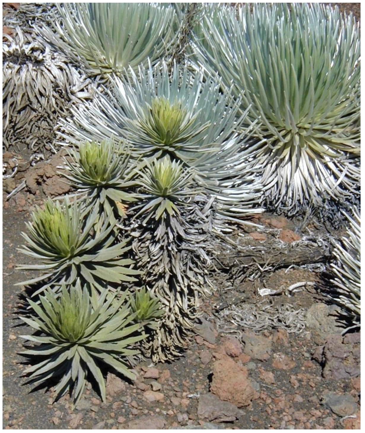 Geographies 05 00013 g033