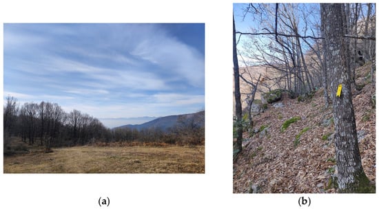 Geographies 05 00072 g0a1a