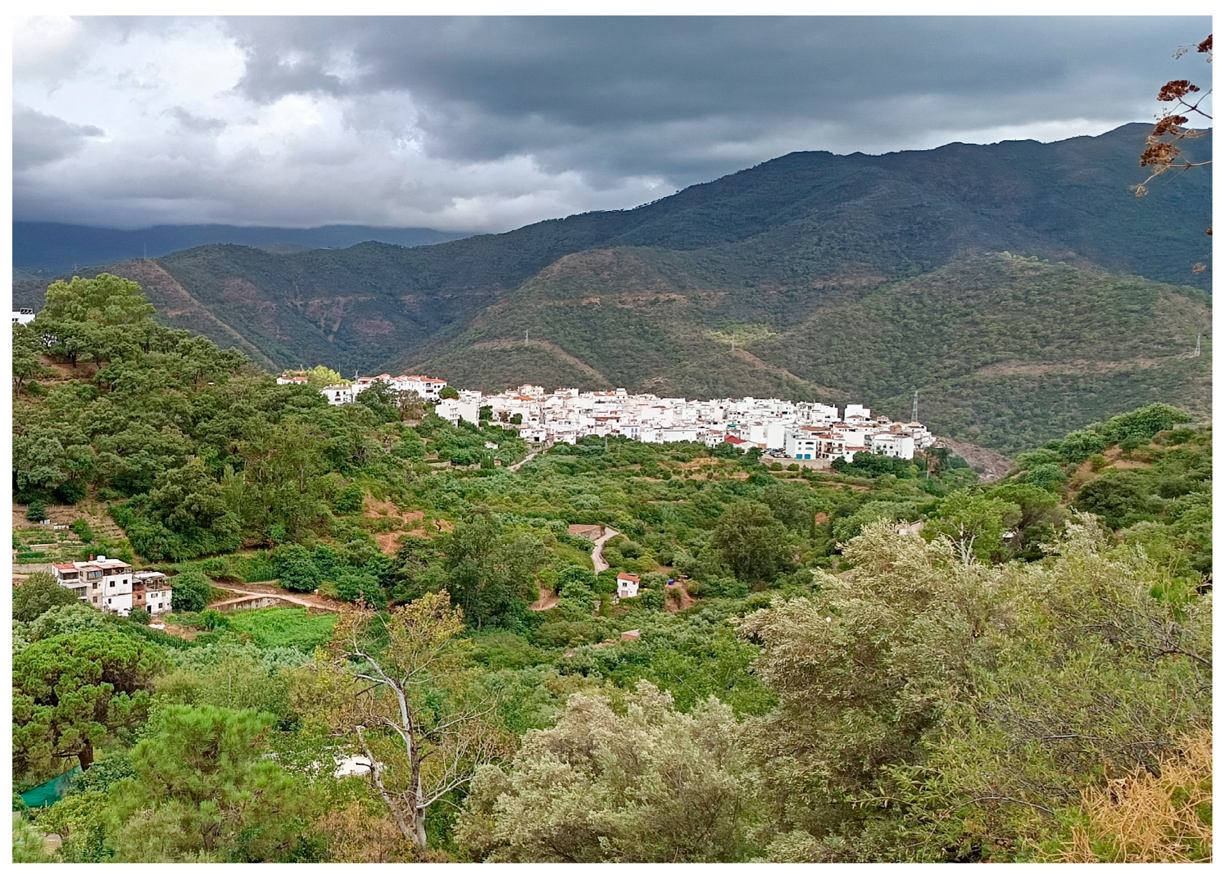 Geographies 05 00078 g003