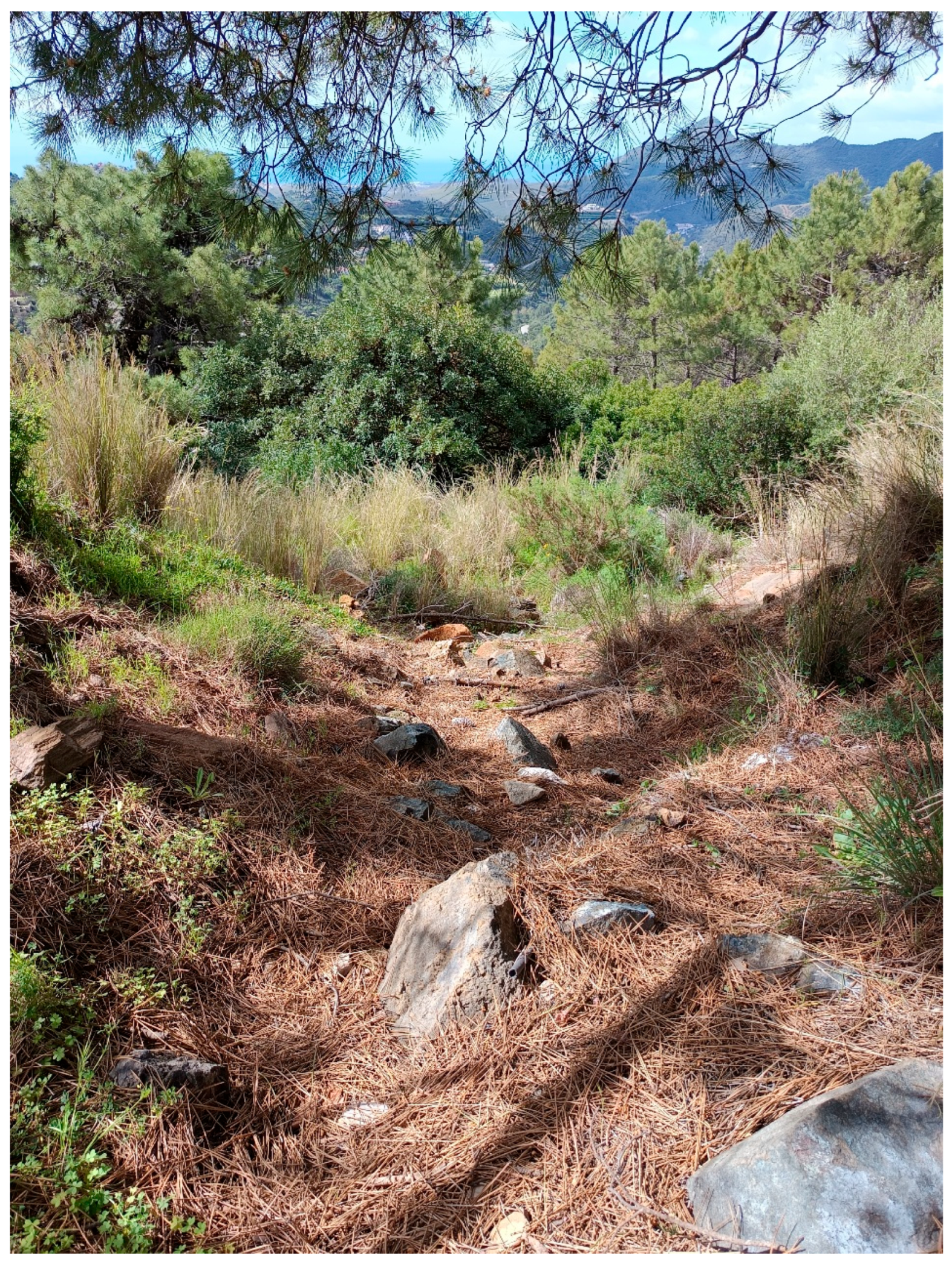 Geographies 05 00078 g012