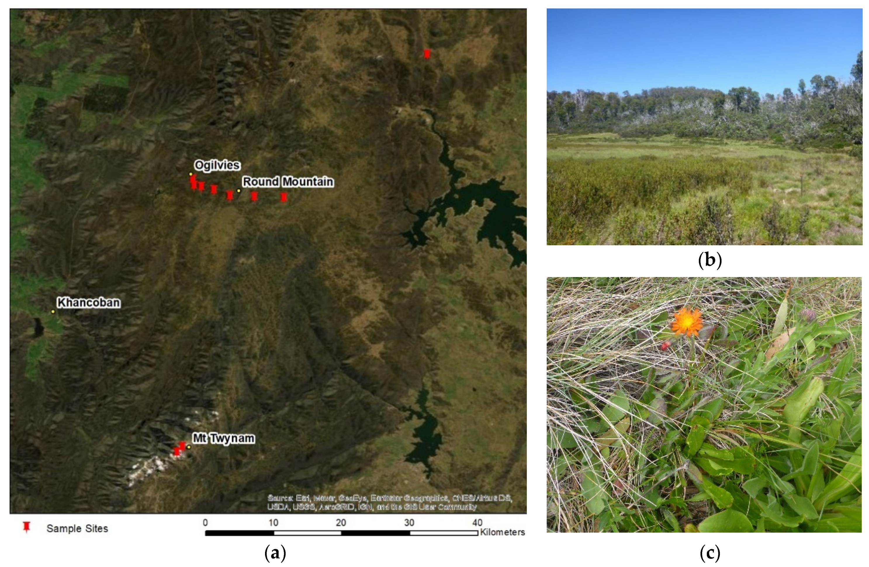 Geomatics 01 00011 g002 Geomatics 01 00011 g002