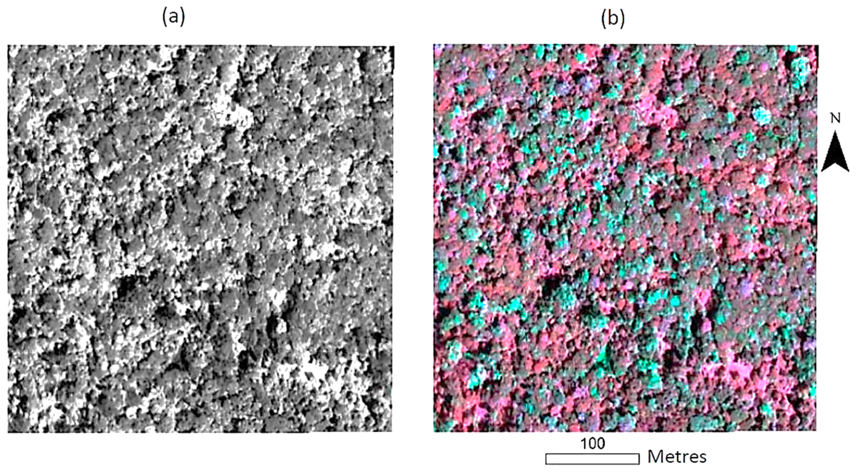 Geomatics 03 00014 g003 Geomatics 03 00014 g003