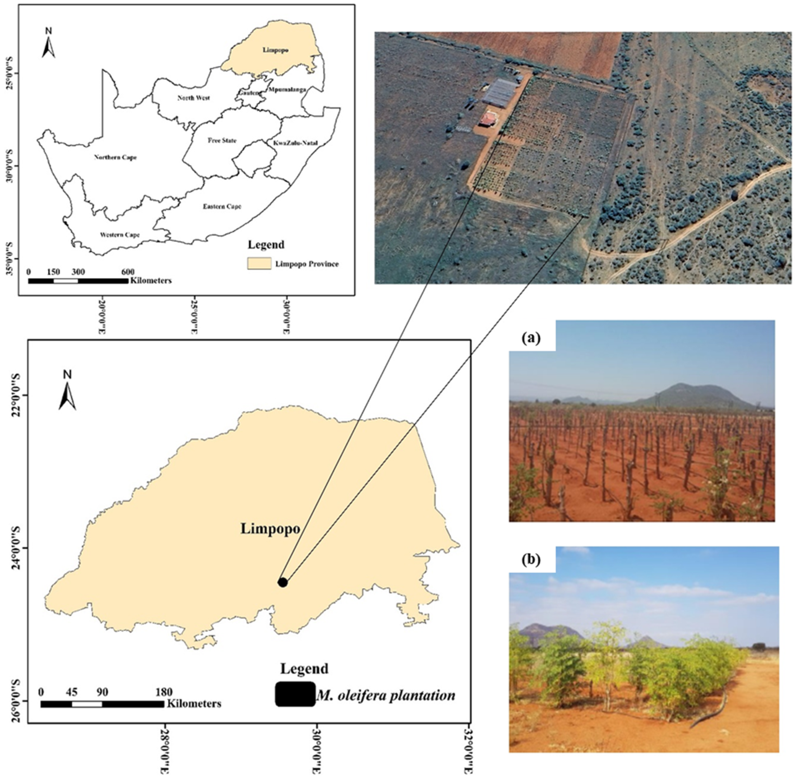 Geomatics 05 00018 g001 Geomatics 05 00018 g001
