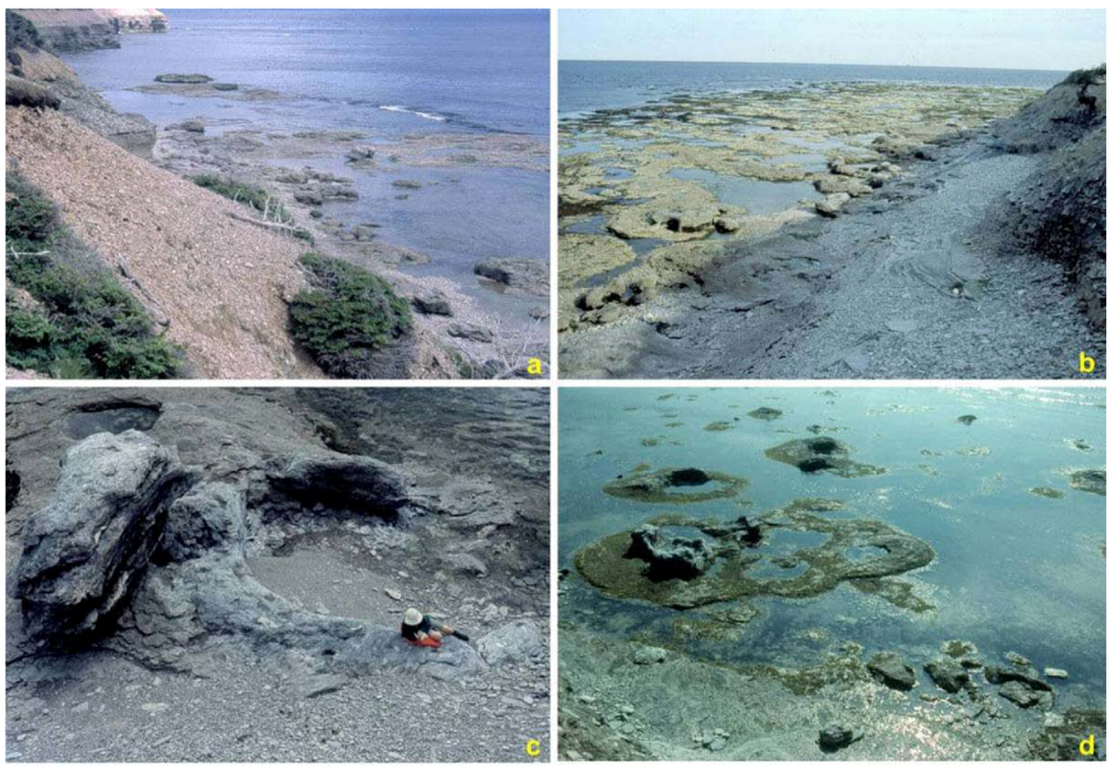 Geosciences 02 00064 g005 1024