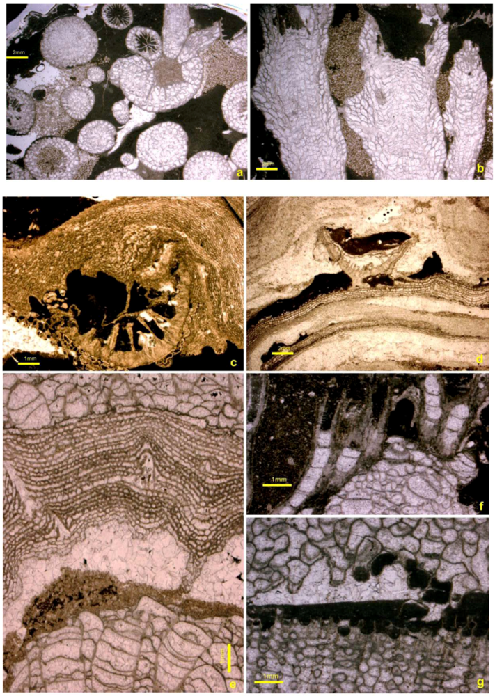 Geosciences 02 00064 g006