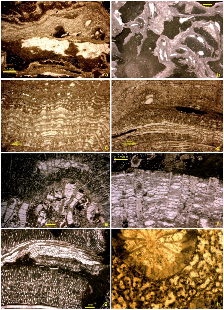 Geosciences 02 00064 g007 1024