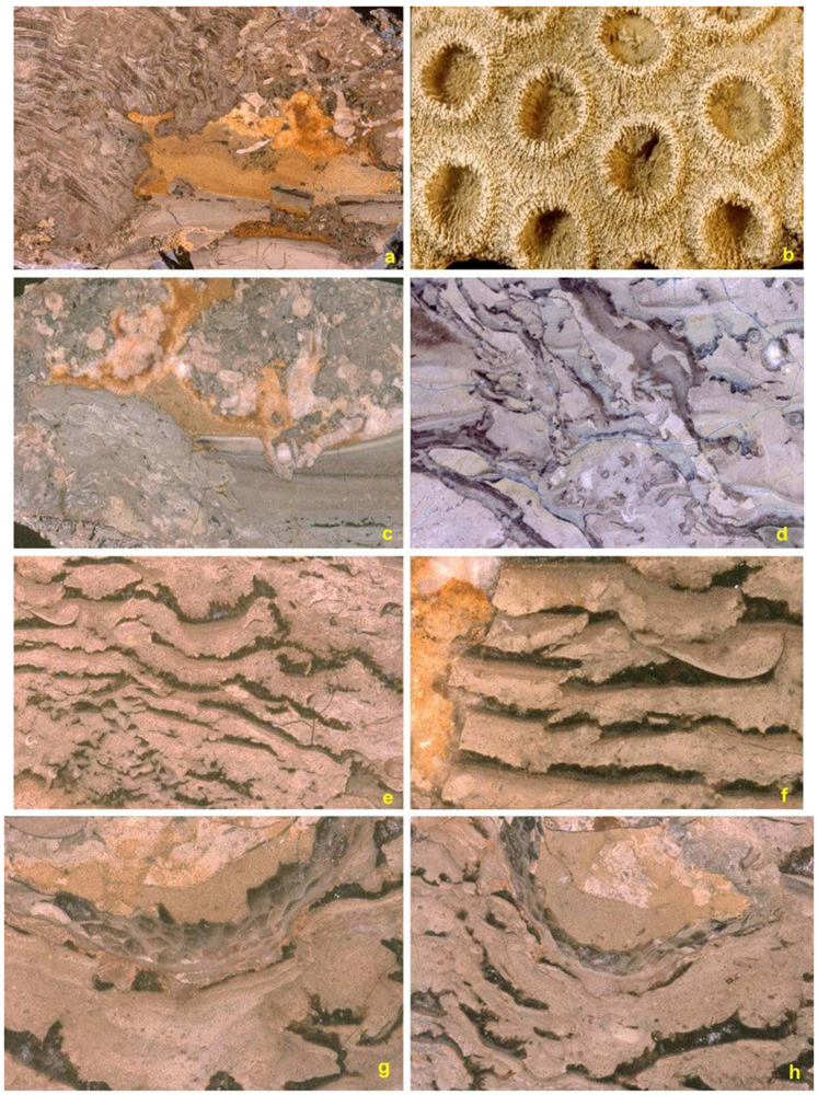 Geosciences 02 00064 g008