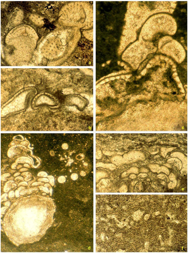 Geosciences 02 00064 g009 1024