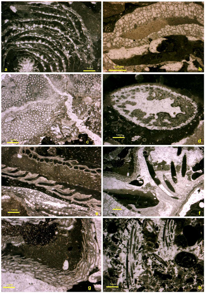 Geosciences 02 00064 g010 1024
