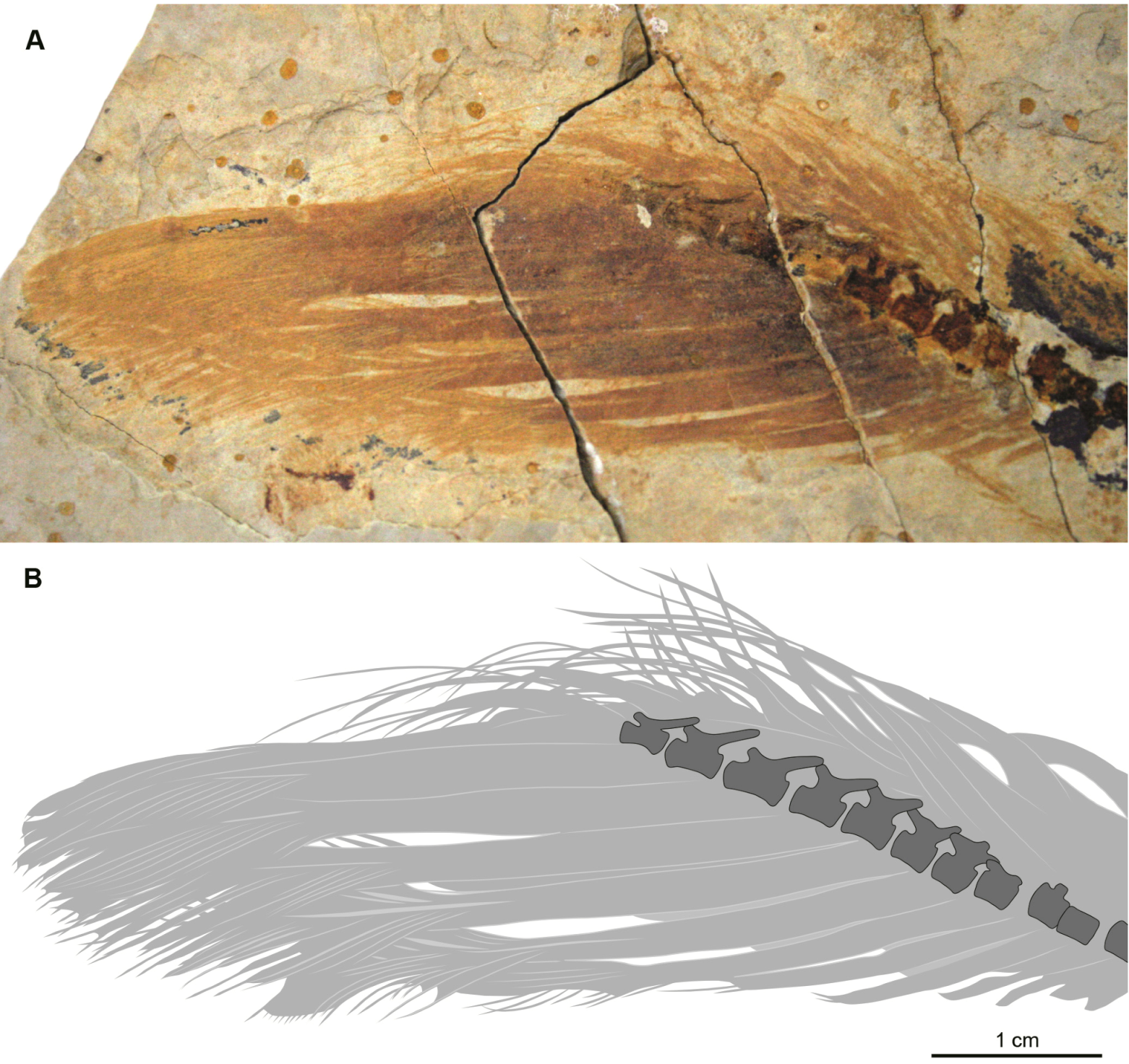 Geosciences 02 00157 g002