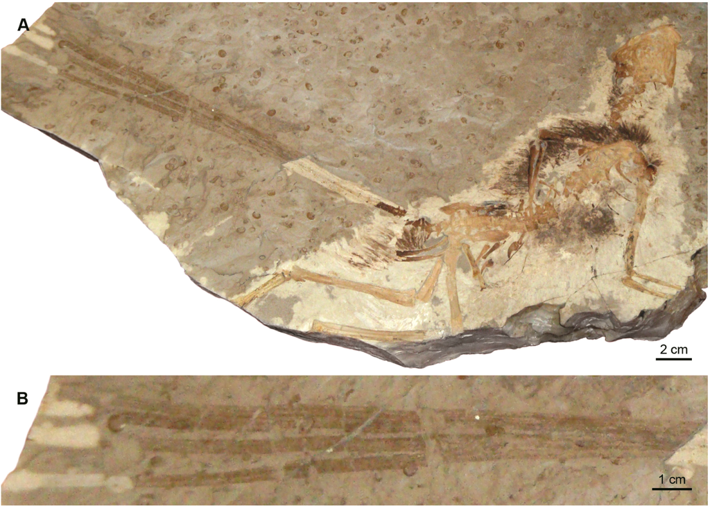 Geosciences 02 00157 g003 1024