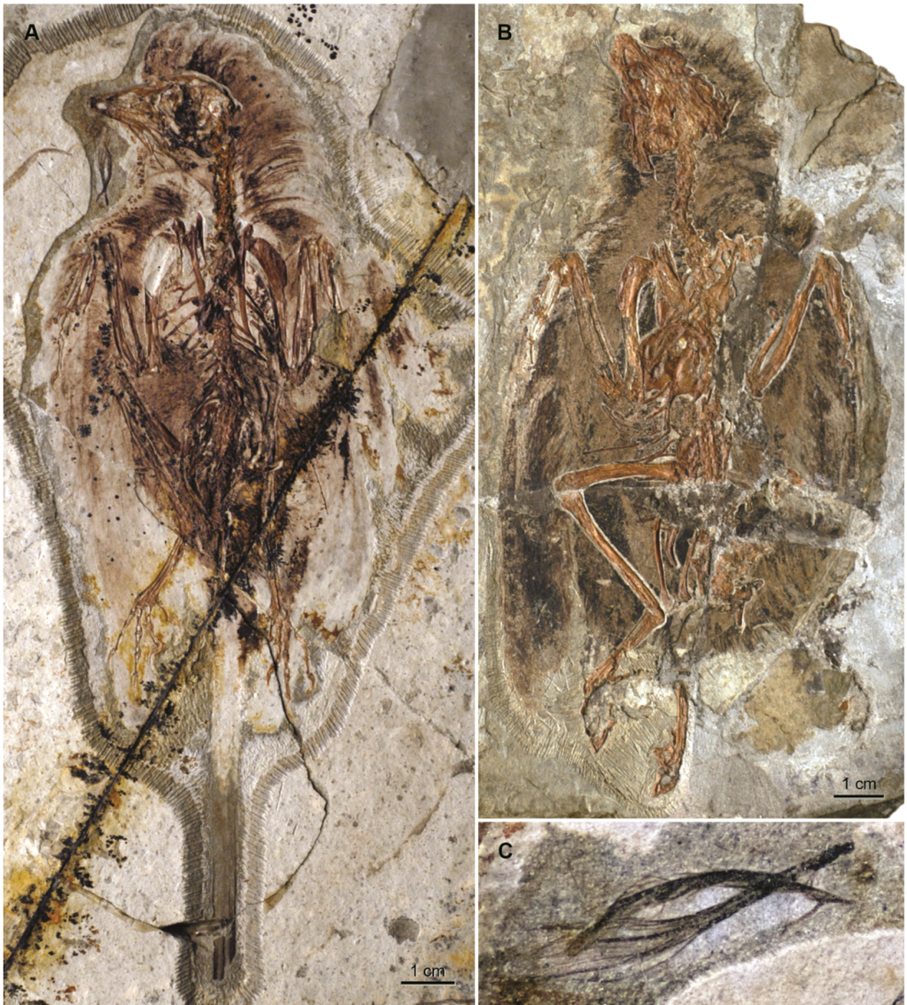 Geosciences 02 00157 g005 1024