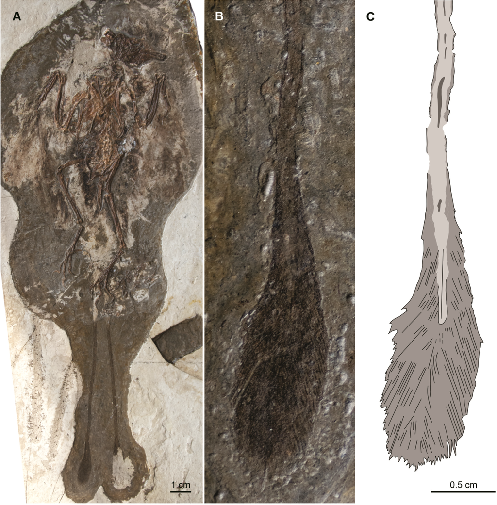 Geosciences 02 00157 g006 1024