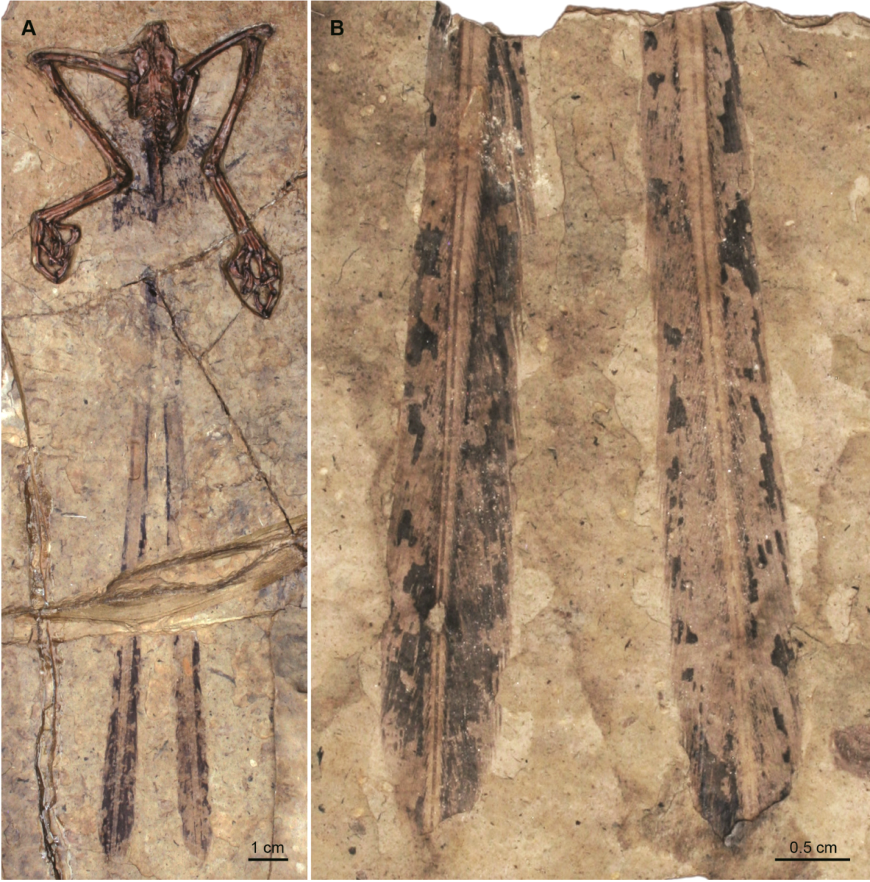 Geosciences 02 00157 g007