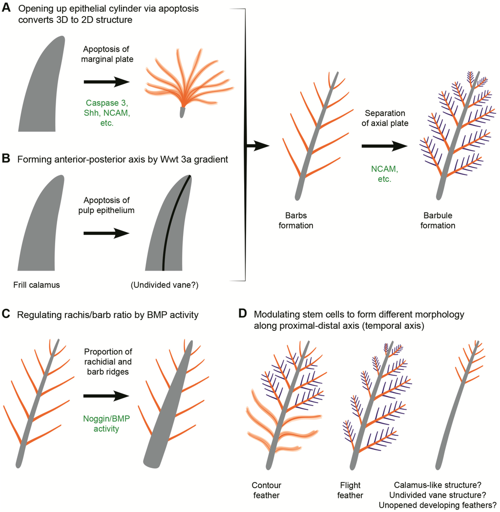 Geosciences 02 00157 g008 1024
