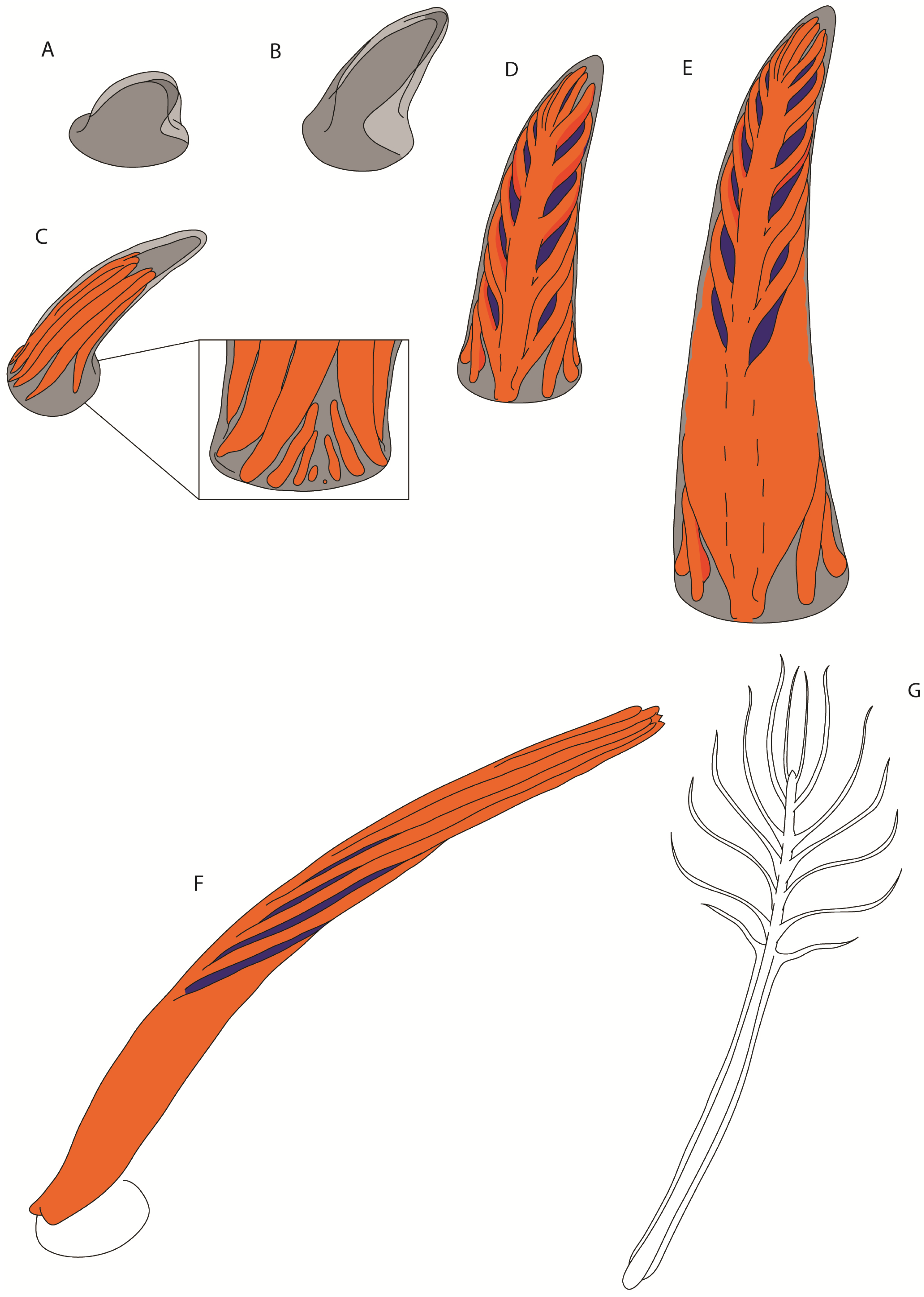 Geosciences 02 00157 g009