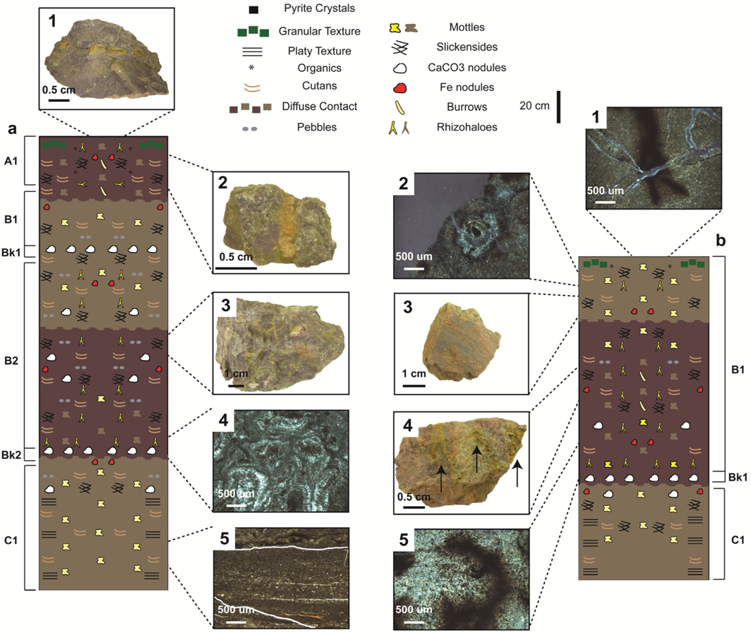 Geosciences 02 00178 g003
