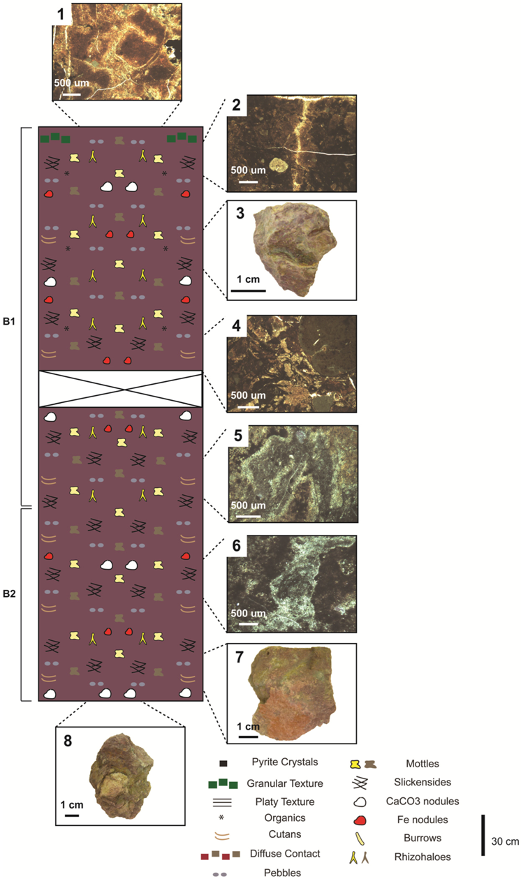 Geosciences 02 00178 g005