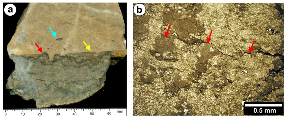 Geosciences 02 00221 g002 1024