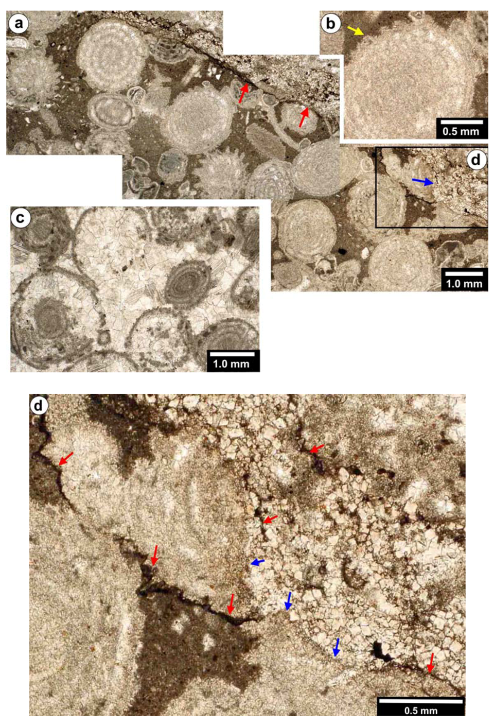 Geosciences 02 00221 g004 1024