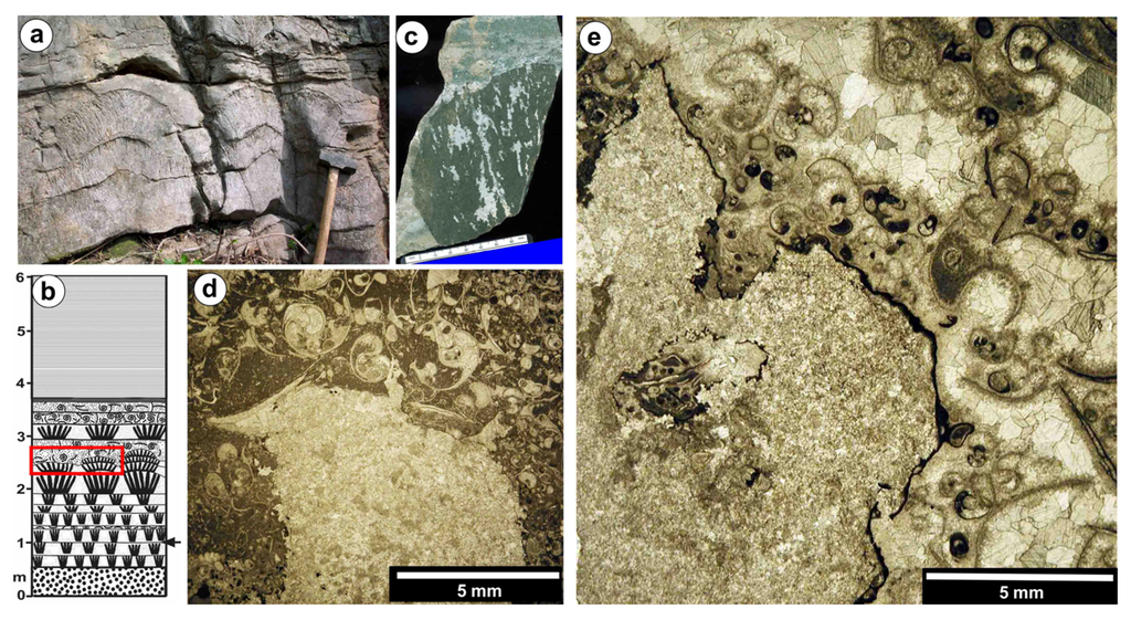Geosciences 02 00221 g005 1024