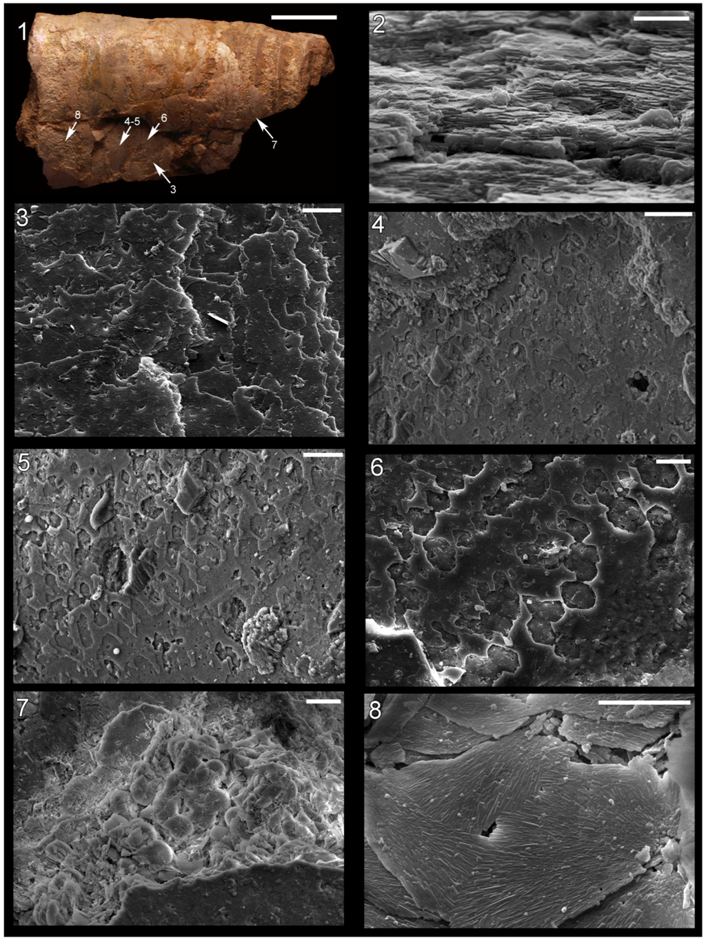 Geosciences 03 00001 g002 1024