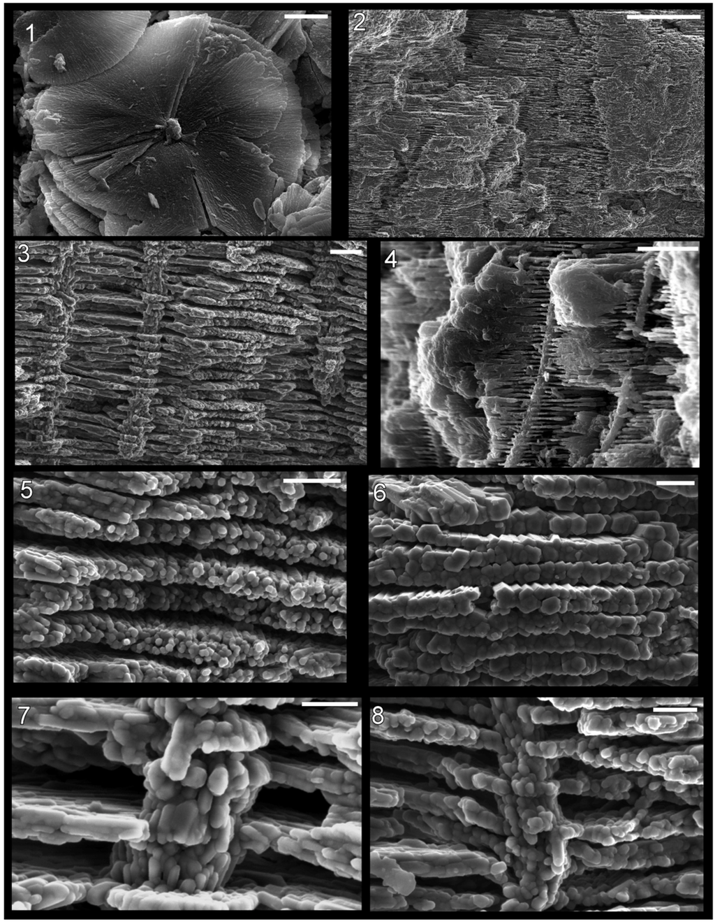Geosciences 03 00001 g003 1024