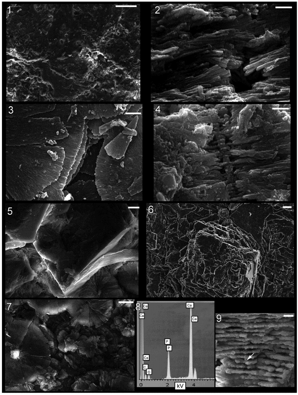Geosciences 03 00001 g004 1024