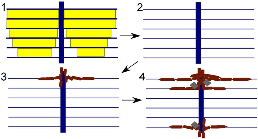 Geosciences 03 00001 g005 1024