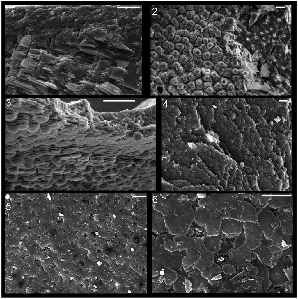 Geosciences 03 00001 g006 1024