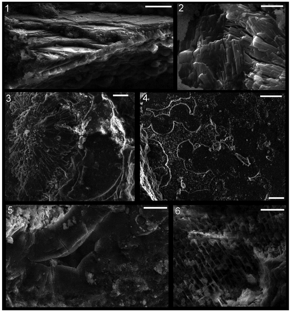 Geosciences 03 00001 g007 1024