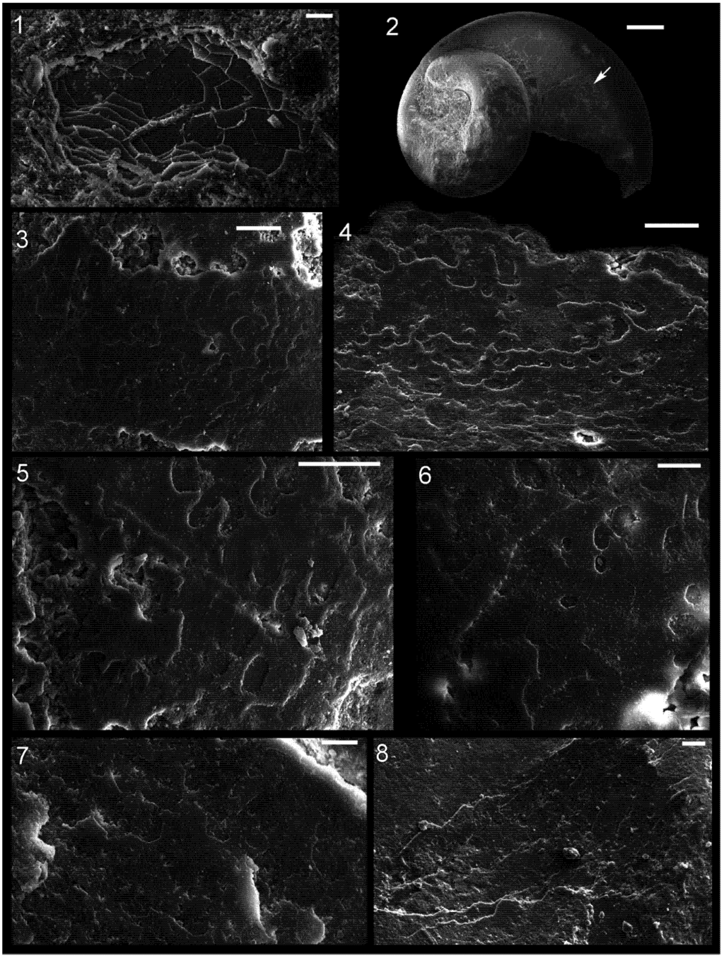 Geosciences 03 00001 g009 1024