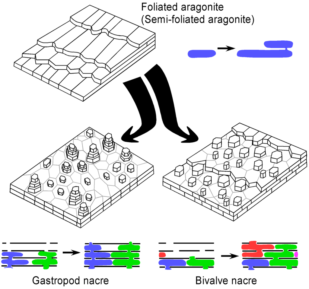 Geosciences 03 00001 g010 1024
