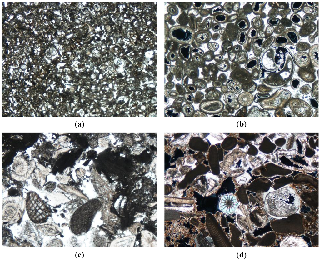 Geosciences 03 00159 g004 1024