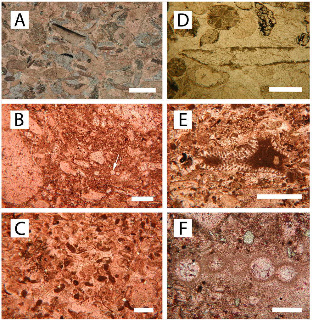 Geosciences 03 00216 g009 1024