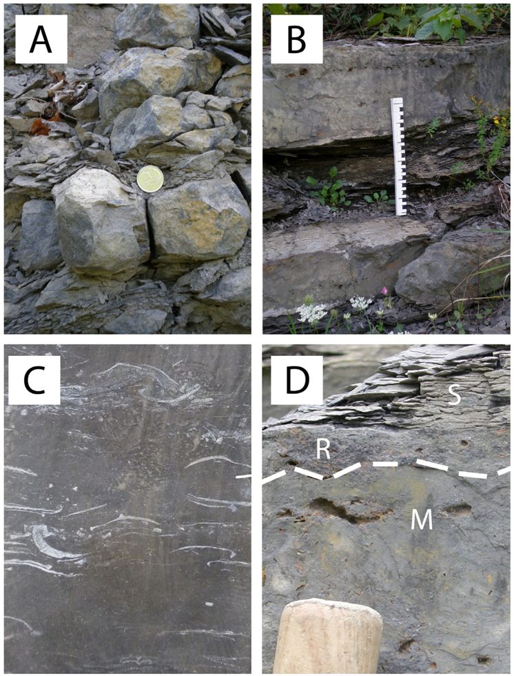 Geosciences 03 00216 g010 1024