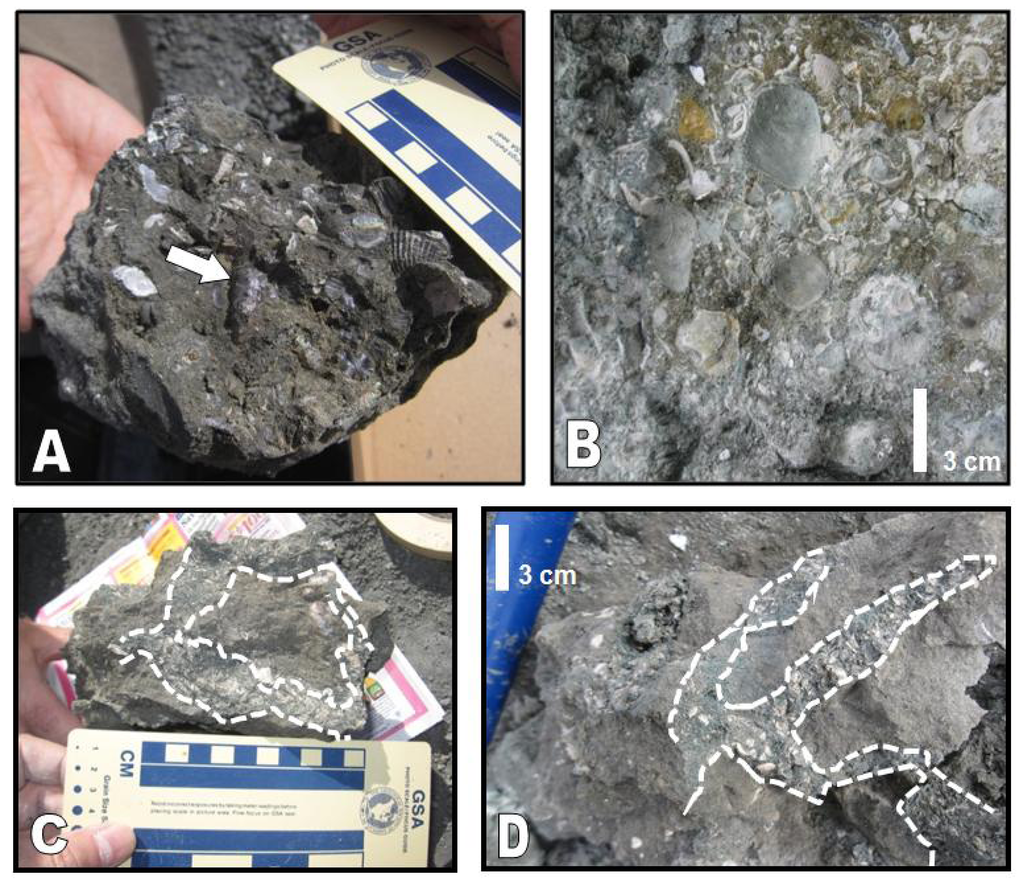 Geosciences 04 00001 g003 1024