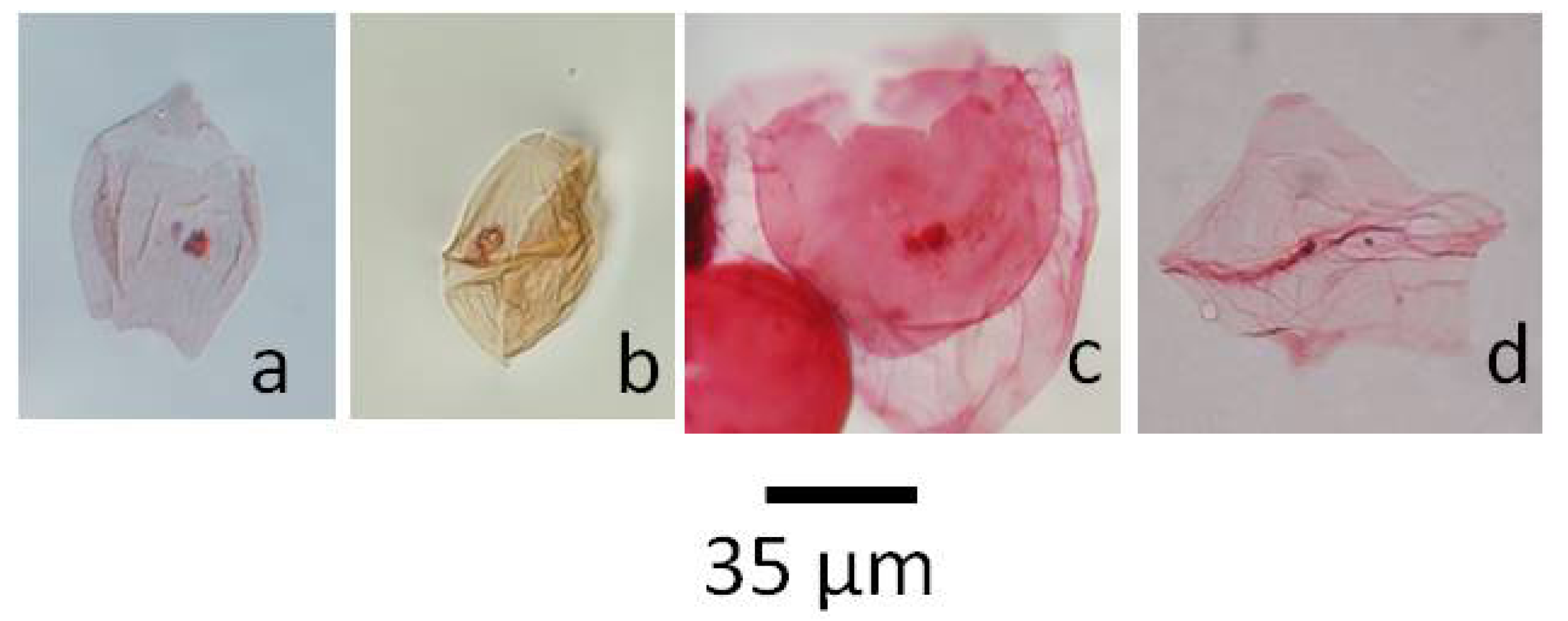 Geosciences 04 00001 g004
