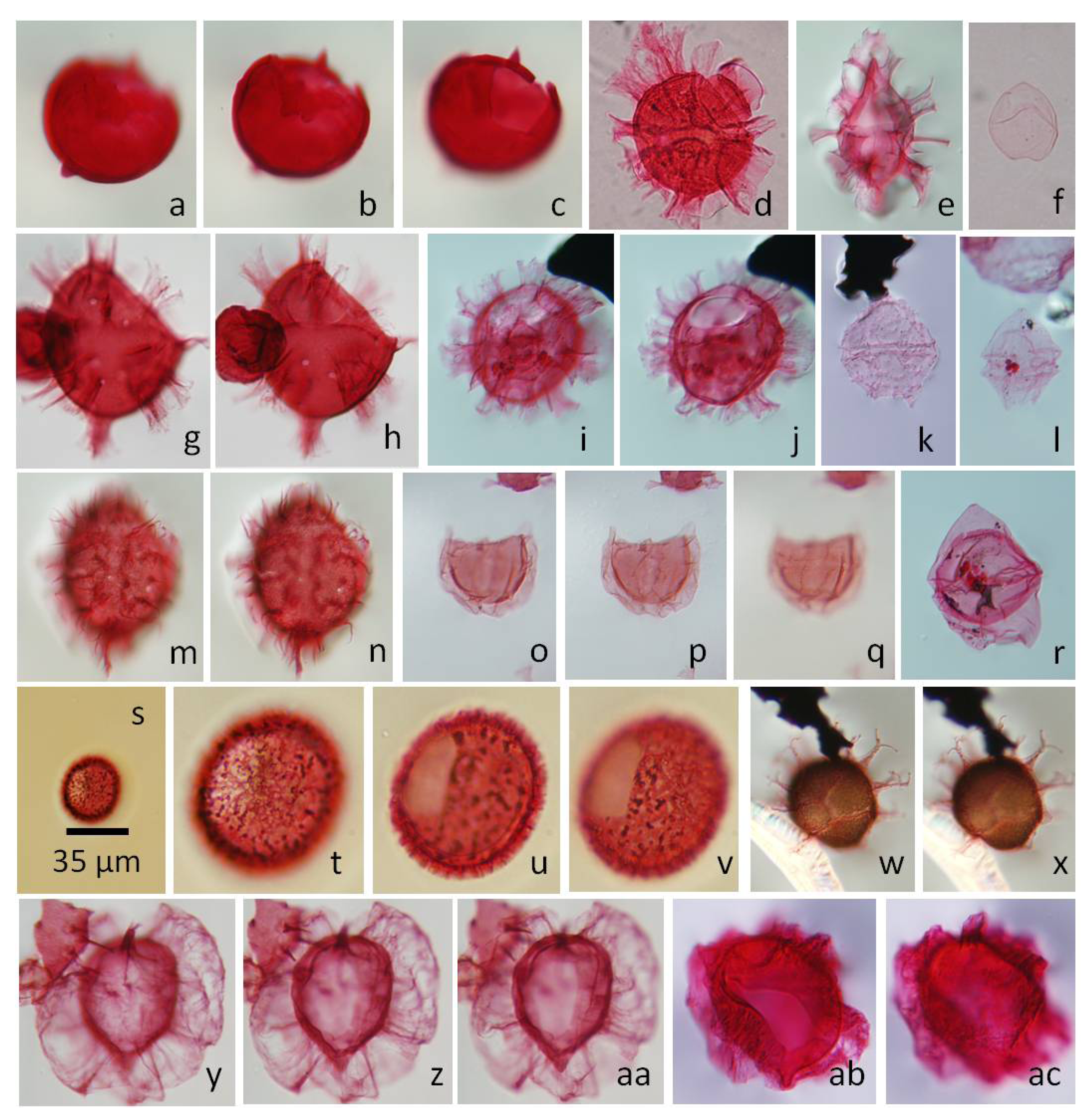 Geosciences 04 00001 g005