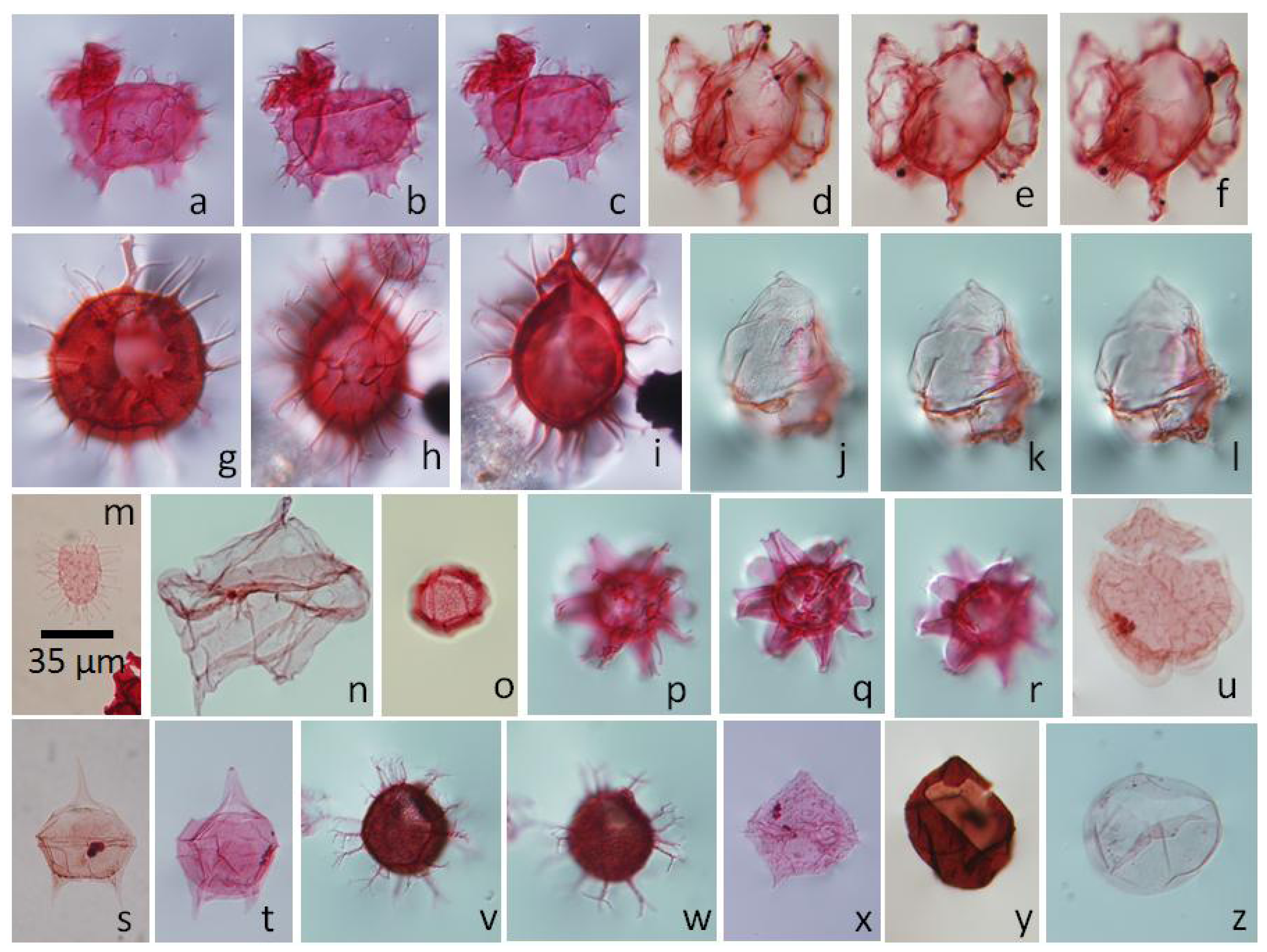 Geosciences 04 00001 g006