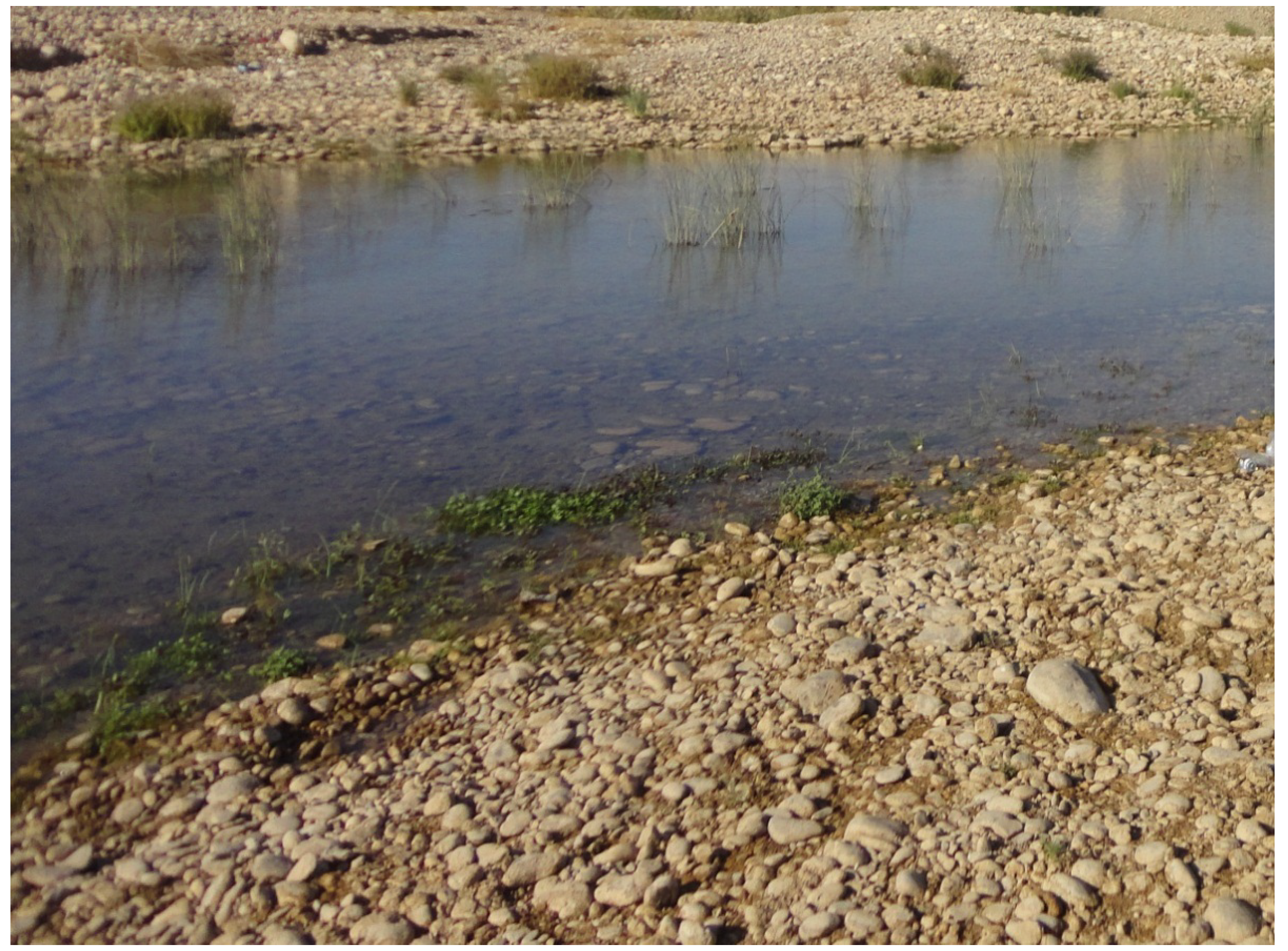 Geosciences 05 00141 g007