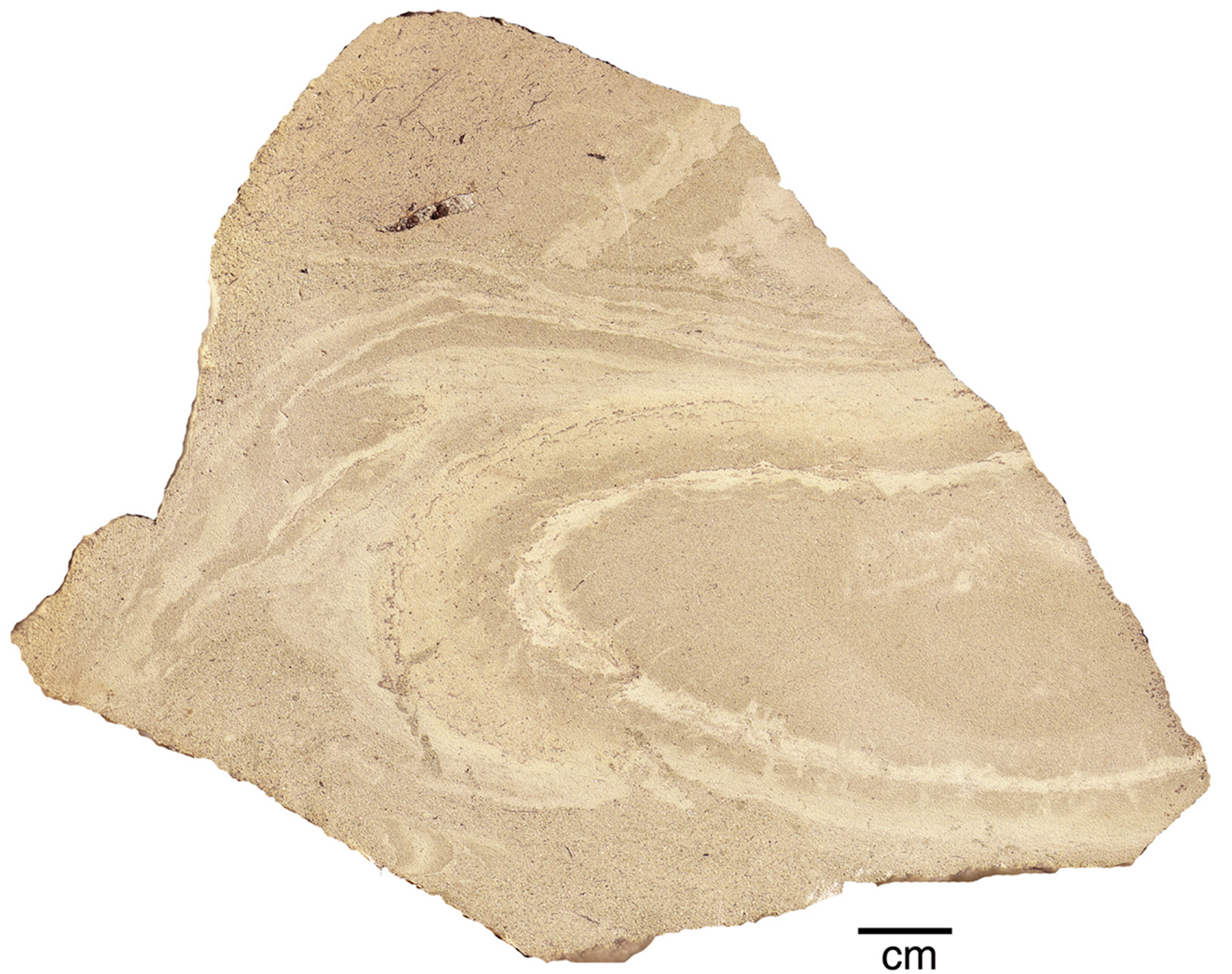 Geosciences 05 00243 g011