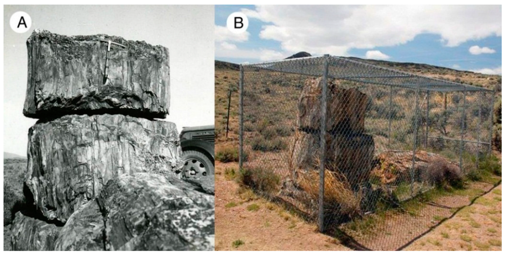 Geosciences 05 00286 g001 1024