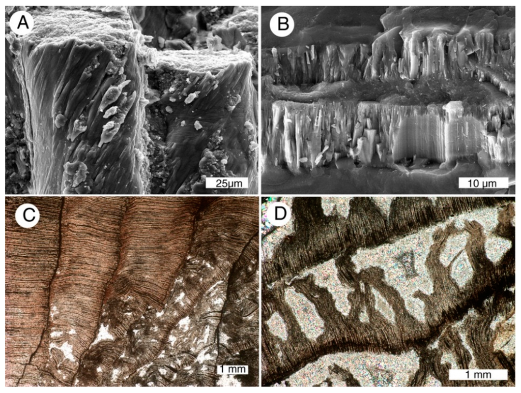Geosciences 05 00286 g007 1024