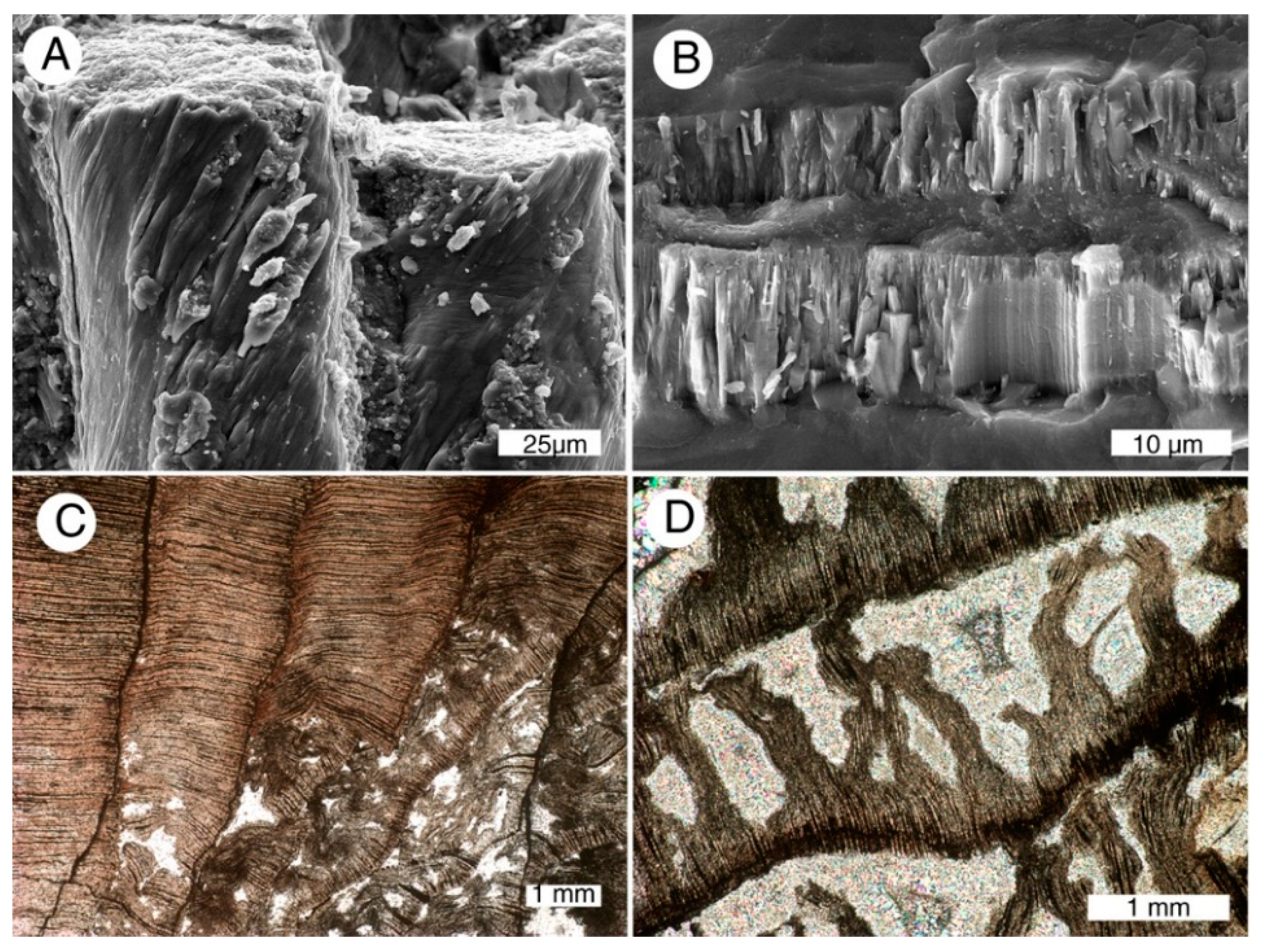 Geosciences 05 00286 g007